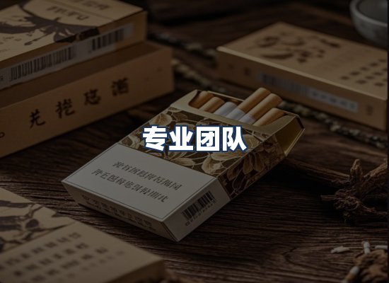 专业团队